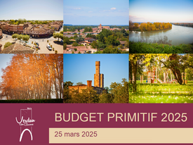 Budjet primitif