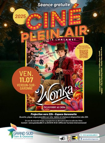affiche film willy wonka Willy Wonka affiche film