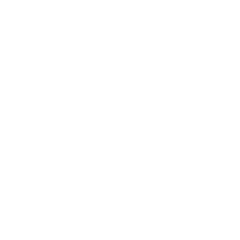 Logo PanneauPocket