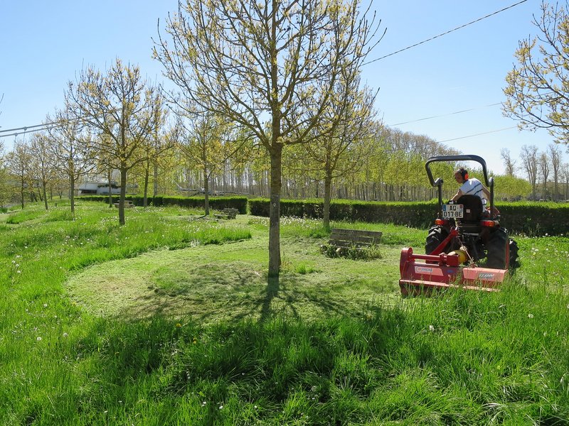 Tondeuse 2 Services Techniques