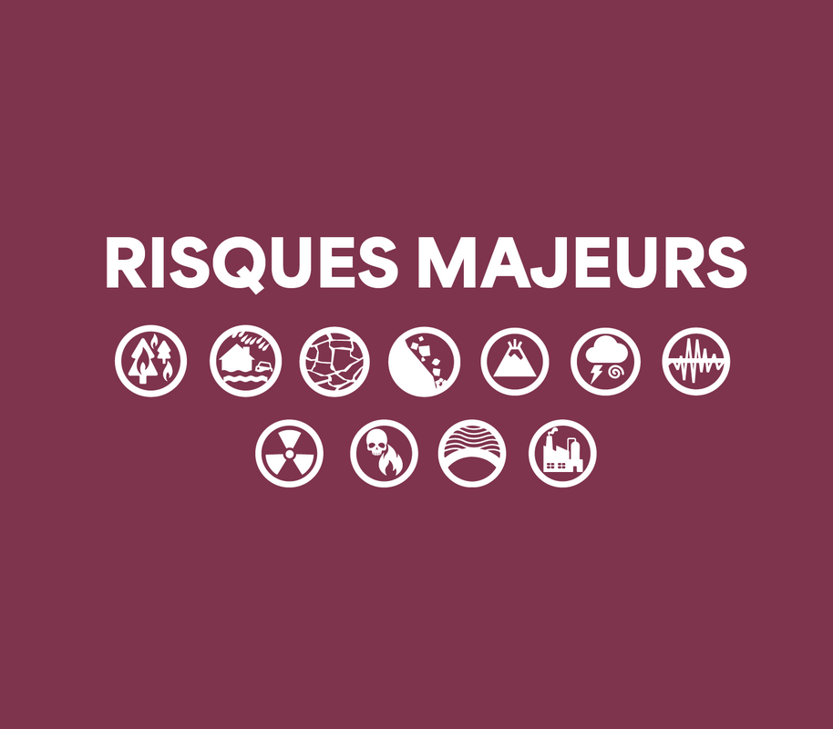 Pictogrammes risques majeurs