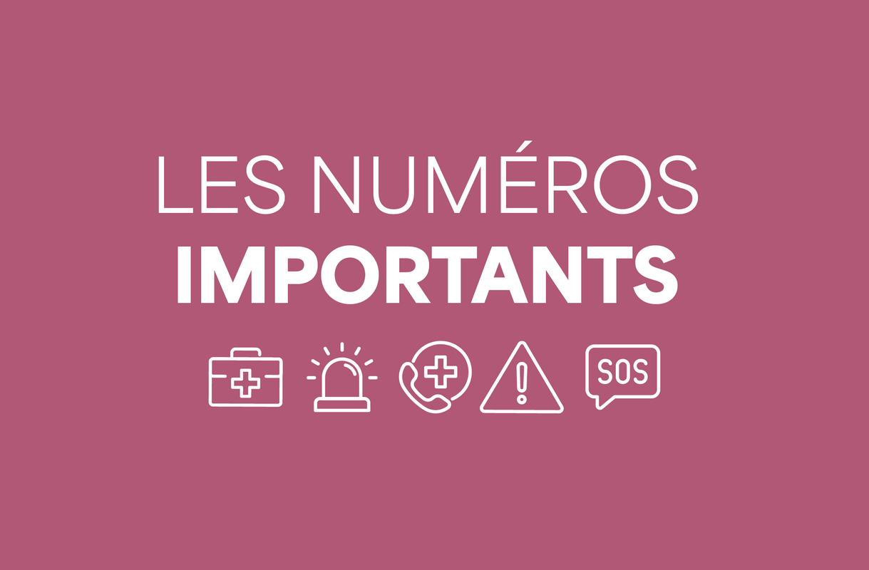 Visuel numéros importants 